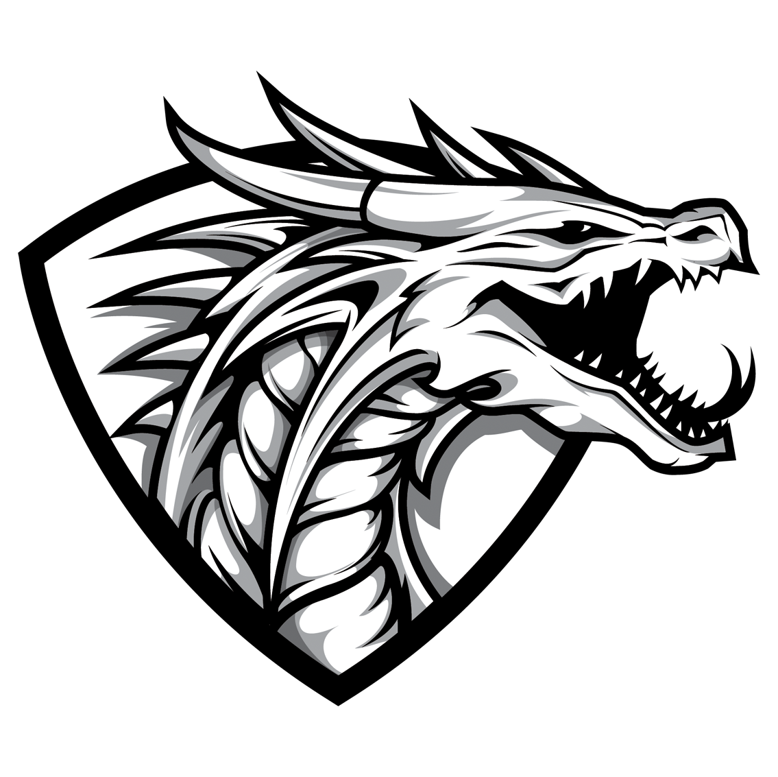 104th White Wyverns